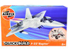 Skill 1 Model Kit F22 Raptor Snap Together Painted Plastic Model Airplane Kit Airfix Quickbuild J6005