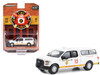 2016 Ford F 150 Pickup Truck with Camper Shell White Chicago Fire Dept Aviation Division Chicago Illinois Fire & Rescue Series 4 1/64 Diecast Model Car Greenlight 67050E