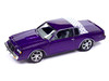 1987 Buick Regal T Type Purple Metallic Limited Edition to 3600 pieces Worldwide 1/64 Diecast Model Car Johnny Lightning JLCP7475