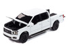 2020 Ford F 150 FX4 Black Appearance Package Pickup Truck Oxford White Muscle Trucks Series 1/64 Diecast Model Car Auto World 64502-AWSP188A