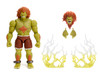 Blanka 7 5 Moveable Figure with Accessories and Alternate Head and Hands Ultra Street Fighter II The Final Challengers 2017 Video Game Model Jada 35173
