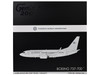Boeing 737 700 Transport Aircraft Fuerza Aerea Argentina Air Force T 99 Gray Gemini 200 Series 1/200 Diecast Model Airplane GeminiJets G2FUA1167