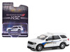 2017 Dodge Durango Kennedy Space Center KSC Security Police Traffic Enforcement White with Graphics Hobby Exclusive Series 1/64 Diecast Model Car Greenlight 30285