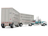 Peterbilt 389 with 36" Flat Top Sleeper and 28' Wilson Silverstar Double Livestock Trailers White with Dark Teal Stripes 1/64 Diecast Model First Gear 60-2343