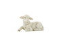 Lamb, lying (HUM 2230O)
