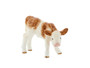Young Calf (HUM 2230/M)