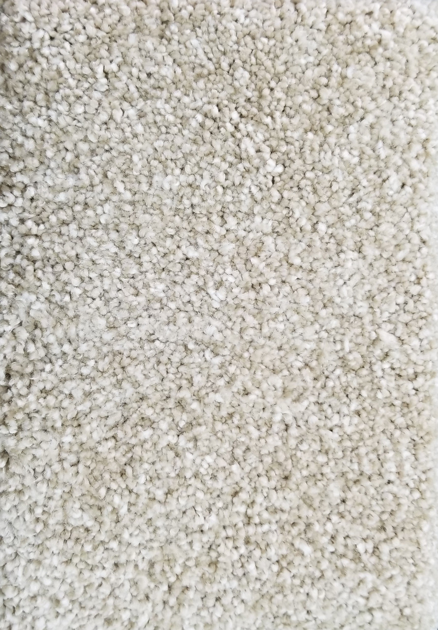Buy Now: Dream Weaver Carpet Striking I