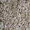 Phenix Carpet N230 PARAGON 02 Plantation 