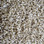 Phenix Carpet N230 PARAGON 03 Daydream