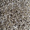 Phenix Carpet N230 PARAGON 06 Shenandoah