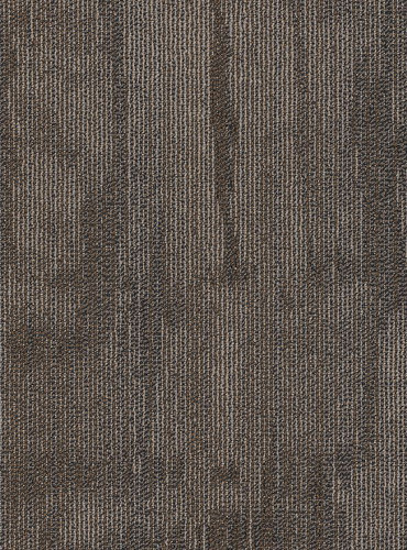 PHILADELPHIA COMMERCIAL CARPET TILE BY SHAW CHISELED 54870 CONSTRUCT 00700