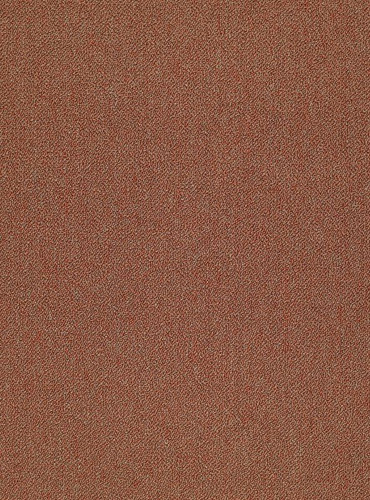 COUNTERPART 54816 ACCOMPLICE 16800 PHILADELPHIA COMMERCIAL CARPET TILE BY SHAW 

