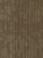 HIPSTER 54895 RAW 00700 PHILADELPHIA COMMERCIAL CARPET TILE BY SHAW 