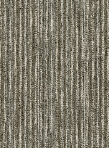 INTELLECT 54845 BRILLIANT 45100 PHILADELPHIA COMMERCIAL CARPET TILE BY SHAW 