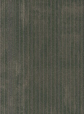 WILDSTYLE 54897 CODE 00300 PHILADELPHIA COMMERCIAL CARPET TILE BY SHAW 