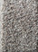 Dream Weaver Carpet Astounding I: 794 Wishing Well