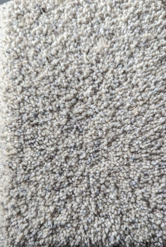 Shop Dream Weaver Carpet Astounding II