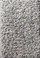 Dream Weaver Carpet Astounding II: 233 Dreamcatcher