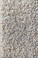 Dream Weaver Carpet Astounding II: 529 Amberwood
