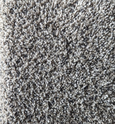 Shop Dream Weaver Carpet Brazen I