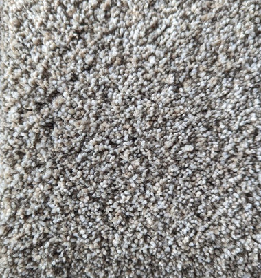 Dream Weaver Carpet Brazen II: 156 Olympic