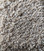Dream Weaver Carpet Dazzling: 551 Straw