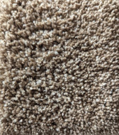 Dream Weaver Carpet Dazzling: 753 Peppercorn