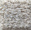 Dream Weaver Carpet Crown Garden I 2875 Coconut Cream