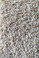 Dream Weaver Carpet Show Time 178 Crystal Sands