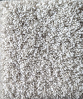 Dream Weaver Carpet Trendsetter I 513 Sparking Dew