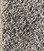 Dream Weaver Carpet Trendsetter I 381 Smokey Taupe