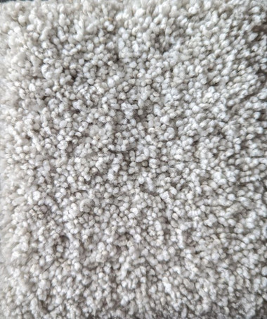 Dream Weaver Carpet Trendsetter II 513 Sparking Dew