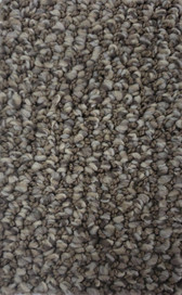 Dream Weaver Select Carpet Galactic: 2317 Molasses