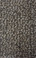 Dream Weaver Select Carpet Galactic: 2317 Molasses