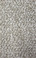 Dream Weaver Select Carpet Galactic: 2279 Bleached Wheat