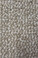 Dream Weaver Select Carpet Galactic: 2143 Ivory Coast