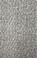 Dream Weaver Select Carpet Galactic: 2014 Snowfall