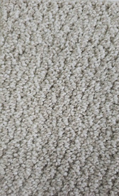 Dream Weaver Select Carpet Palazzo 2592 Serene