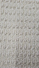 Dream Weaver Select Carpet Palma 2872 Magnificent