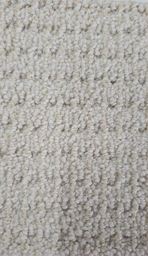 Dream Weaver Select Carpet Palma 2872 Magnificent