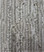 Dream Weaver Select Carpet Valter 8153 Point Break