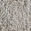 Dream Weaver Carpet Exceptional 7402 705 Cookie Dough