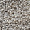 Dream Weaver Carpet Cosmopolitan 5755 720 Oxford