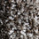Phenix Carpet N163 Riverbend 1003 Marshland