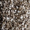 Phenix Carpet N163 Riverbend 1008 Iced Branches