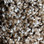 Phenix Carpet N163 Riverbend 1002 Driftwood