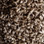 Phenix Carpet N163 Riverbend 1007 Maplewood