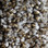 Phenix Carpet N163 Riverbend 1014 Tweed Coat