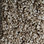 Phenix Carpet N212 Chandler Bay 412 Santina