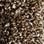 Phenix Carpet N161 Creekside 1004 Cattail